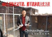 ����ֶ���ͷ600����ǰʮ(ͼ)