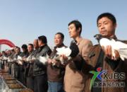 �½�����13�վٰ���͸����(ͼ)