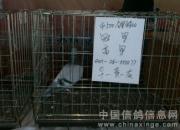 ����500�����رȹھ�1.6��ɽ�