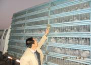 ����700���ﻳ��˾�ż�ʵ(ͼ)