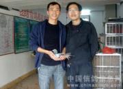 �������ֵ����β���(ͼ)