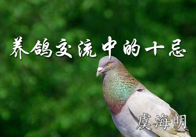 ���뽻���е�ʮ��(�ݺ���)