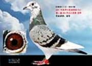 ������������˾���ǰ50������