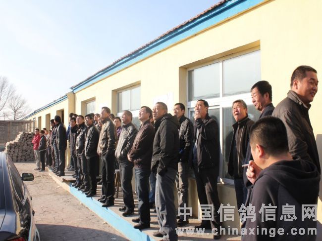 ͨ�ɿƶ��߹���500������������ճ�