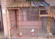 ��95���ª��(ͼ)