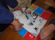 �������빫����������ֳ�(ͼ)