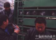 ����¤��500�����������(ͼ)