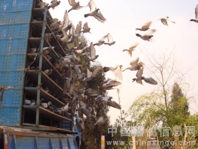 �ؼ����ೡ����Բ����Ļ(ͼ)
