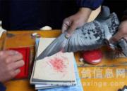 ��������ƽ��������ɼ���¯(ͼ)