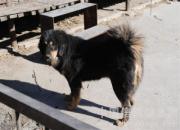 BOB����4���������������