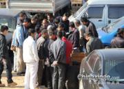 ��ʱ���Ҳ����(ͼ)