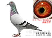 ���衰�й��족���ʷ�����ǰʮλͼƬ