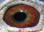 ��ƽ�빫�����ǰʮ������