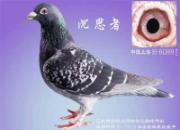 ���Ԫ������ȸ���Ÿ�����(ͼ)