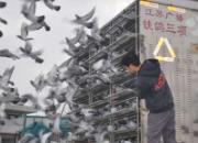 �������������ɼ���¯(ͼ)