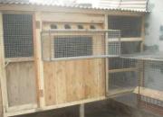 �½�Сľ�ݸ���(ͼ)