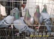 ���Ķ���Ӱ�ӹ�������ֳ�����