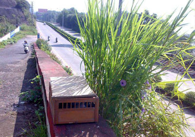 ��ѵ ��������(ͼ)