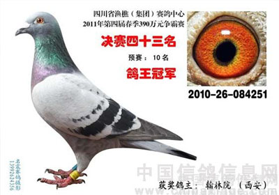 ���գ����ܷ���������ʤ�ĸ���(ͼ)