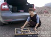 ������·ѵ(ͼ)