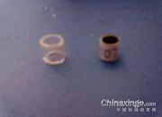 �����Ÿ�Ż�(ͼ)