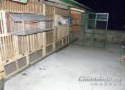 �����ս���(ͼ)