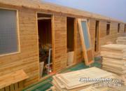 ����18���������(ͼ)