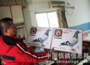 �������ĸ���չ���������ơ�(ͼ)