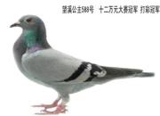 �ǰ�˳�������������(ͼ)