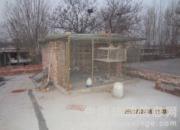 80���׸��Ѹ���(ͼ)