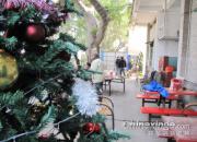 ���ѻ���ʥ����(ͼ)