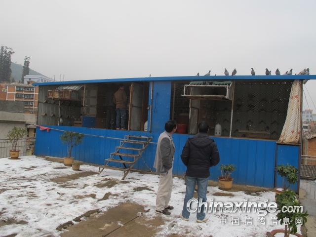 ��³���������(ͼ)