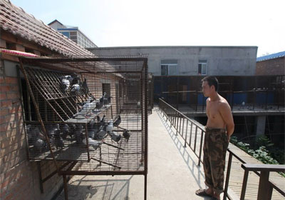 2011��TV��������ʮ��˲��(ͼ)