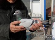 ���շ���Դ����(ͼ)