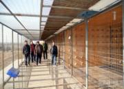 ������С�Ĺ���(ͼ)