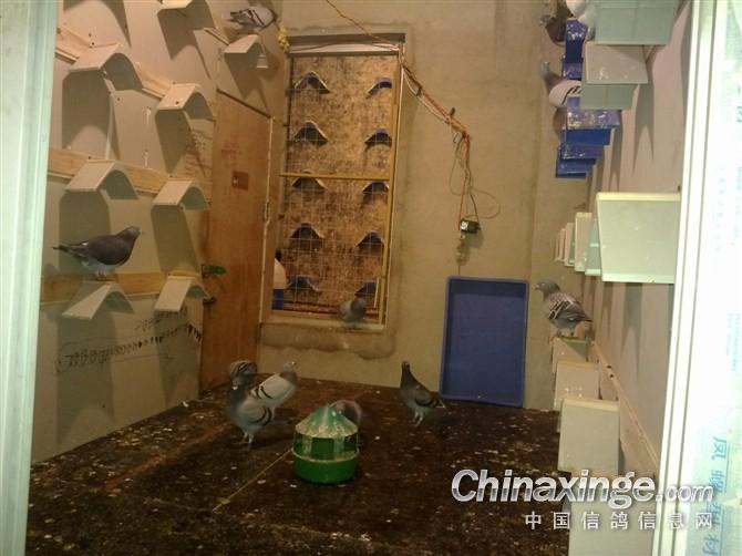 �Ͼӷ�����(ͼ)