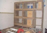 ����û���� ���Ὠ����(ͼ)