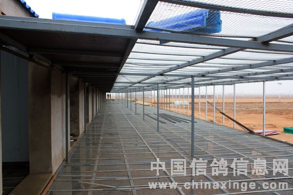 ����Ŀ���й����ɳĮ����(ͼ)