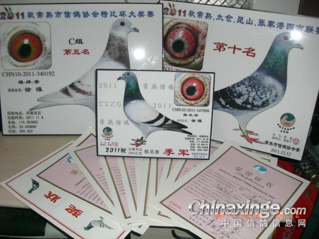 ��������Ҵ�����(ͼ)