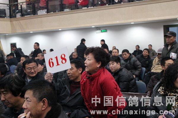 ������������737���ٴ��¸�(ͼ)