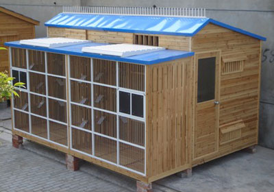 ����ο����̵��ʽ�����ĸ���(ͼ)