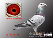 �ĵ�����԰ױ���749(ͼ)