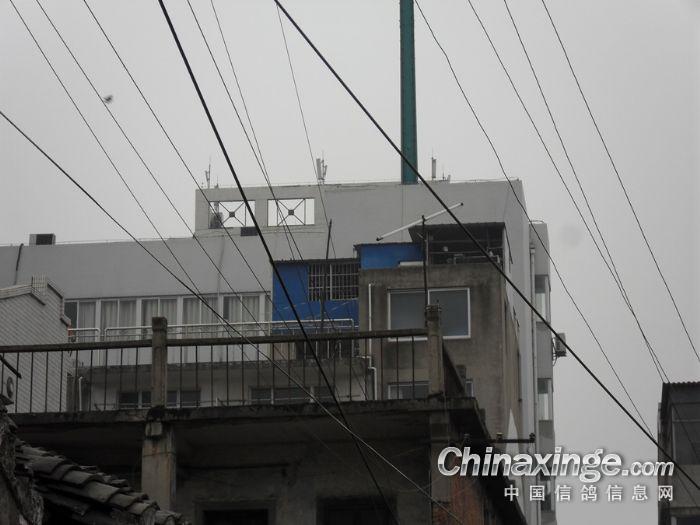 ���շ��ѹ������(ͼ)