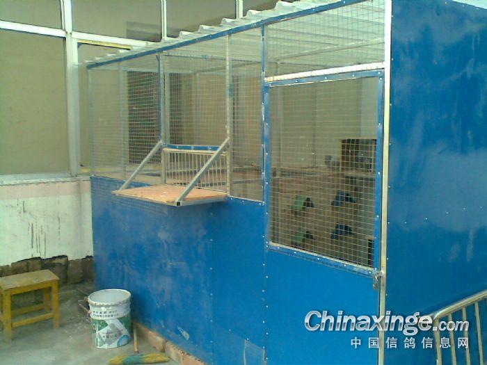 ������������(ͼ)