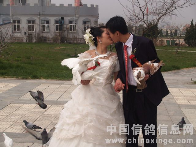 ������������������(ͼƬ)