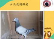 10��Ů���̰�����ͼ