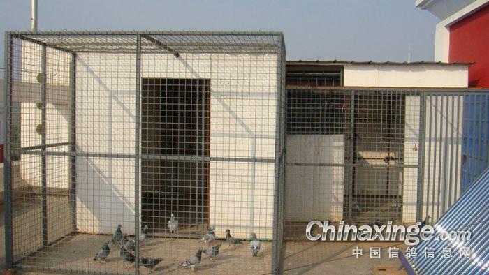 ����ĵ��ĸ�����(ͼ)