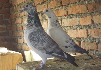 ��������棿