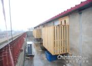 ���������ʵ����