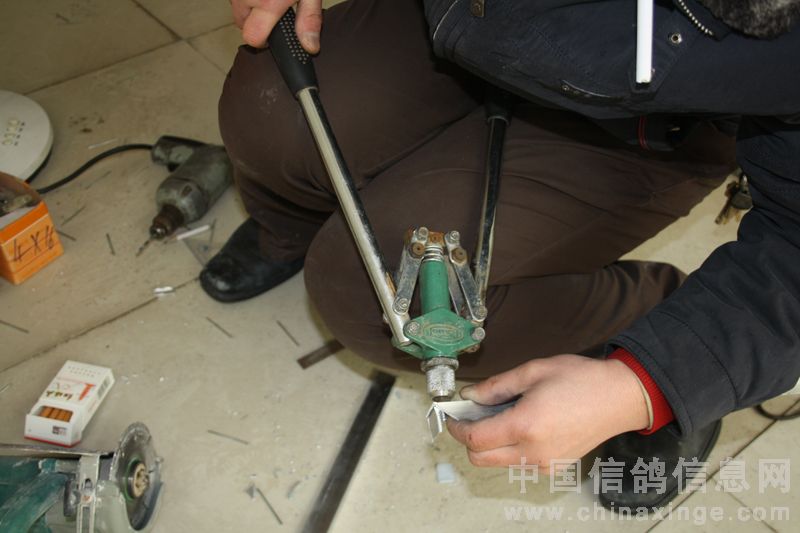 ���������Ҷ�� 